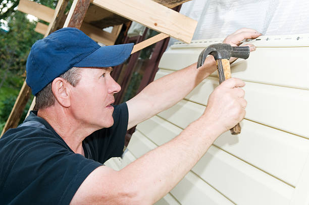 Best Custom Trim and Detailing for Siding  in West Branch, MI