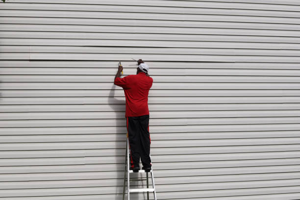 Best Fascia and Soffit Installation  in West Branch, MI