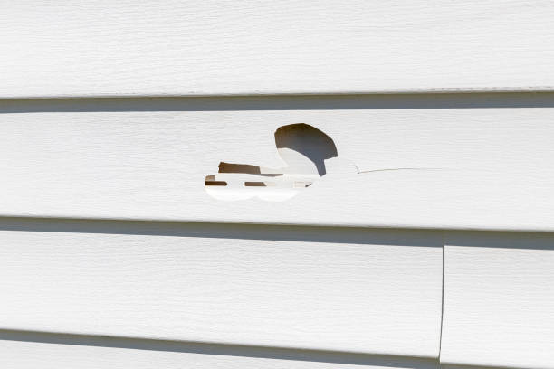 Best Residential Vinyl Siding Installation  in West Branch, MI