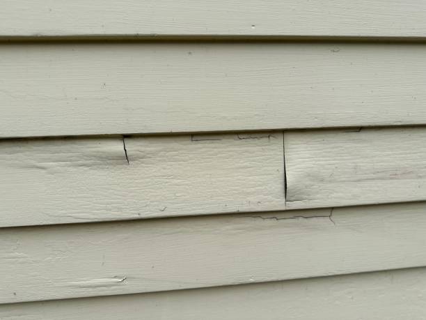 Best Storm Damage Siding Repair  in West Branch, MI